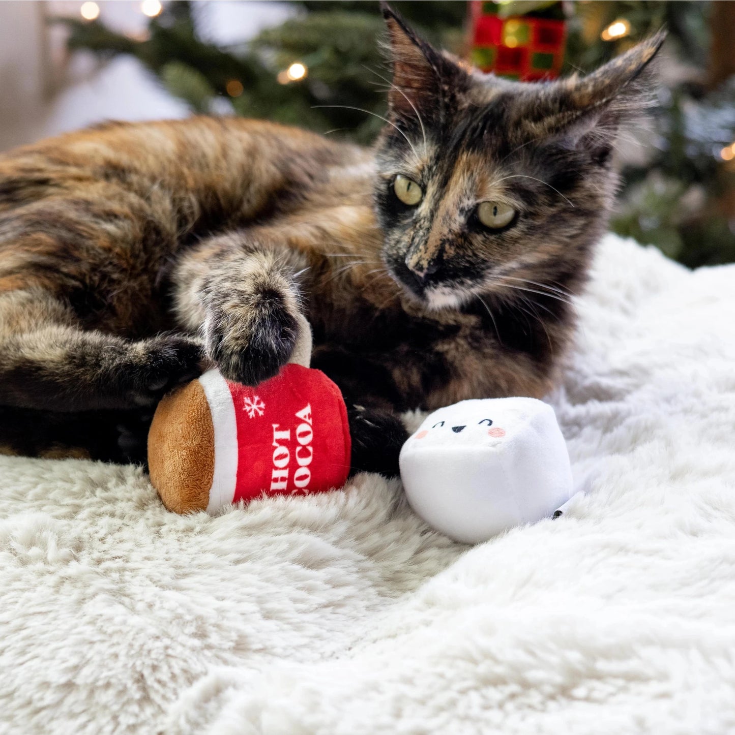 Hot Cocoa Cat Toy Set