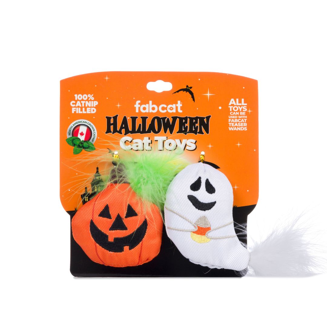Pumpkin/Ghost Cat Toys