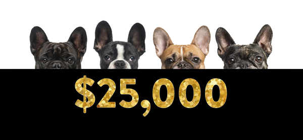 Over $25,000 Donated to Animal Rescue