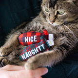 Naughty or Mice Cat Toy Set